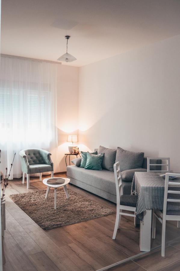 Apartman Lena Banja Koviljača 外观 照片