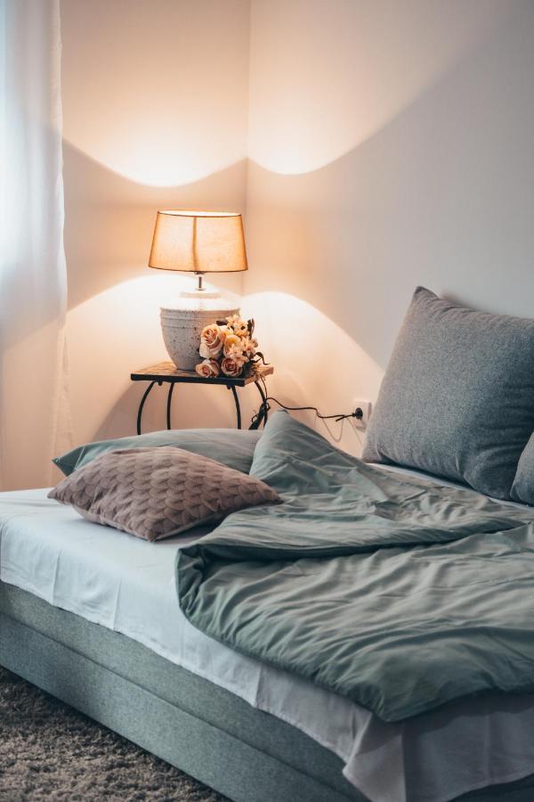 Apartman Lena Banja Koviljača 外观 照片