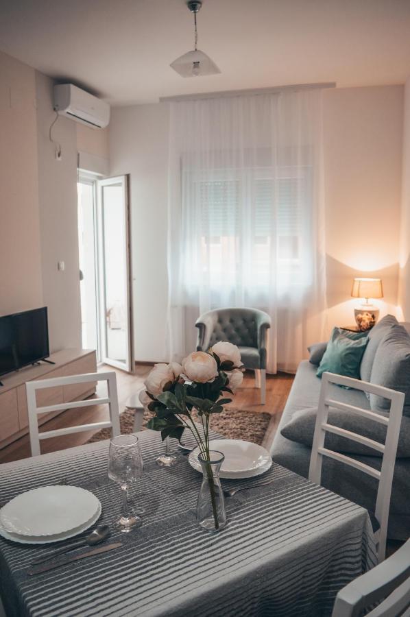 Apartman Lena Banja Koviljača 外观 照片
