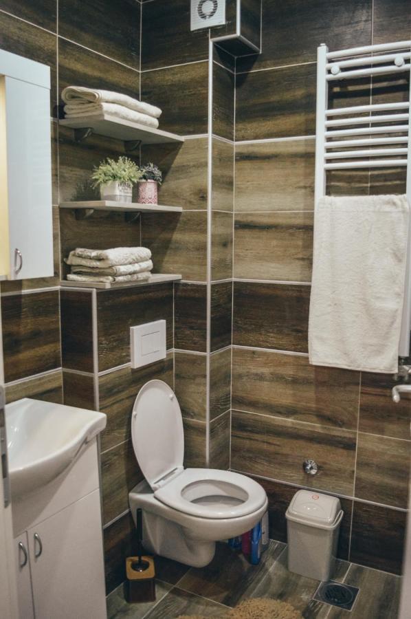 Apartman Lena Banja Koviljača 外观 照片