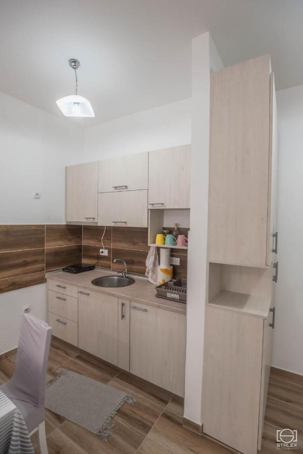 Apartman Lena Banja Koviljača 外观 照片